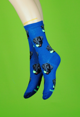  Summer dog socks