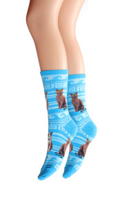 Greek cats socks