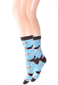 Basset hound socks